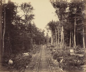 Ganoga Lake Branch, 1895 körül (fotó) alkotó: William Herman Rau