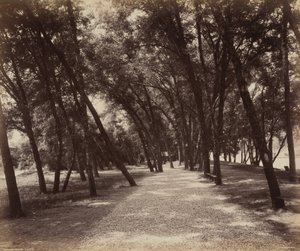 Piknikpálya,c. 1895 (fotó)
