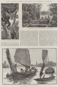 Gyarmati és Indiai Kiállítás, Észak-Borneó, Straits Settlements és Hong-Kong
