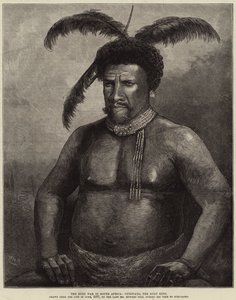 A zulu háború Dél-Afrikában, Cetewayo, a zulu király