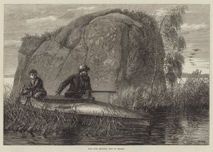 Wild Duck Shooting, Nyugat-Írország metszet
