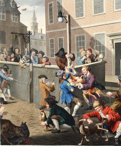 A kegyetlenség első szakasza, illusztráció a „Hogarth Restored: The Whole Works of the híres William Hogarth, újrametszette Thomas Cook” című kocsmából. 1812 (kézzel színezett metszet) alkotó: William Hogarth