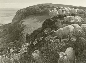 A domboldalon (metszet) alkotó: William Holman Hunt