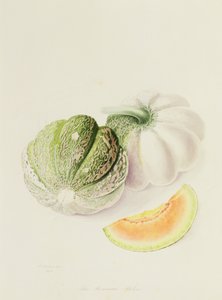 A római dinnye, 1818