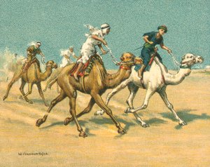 Történelmi és modern versenyek, tevefajták (chromolitho)