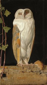A fehér bagoly: "Egyedül és öt eszét melegítve ül a fehér bagoly a haranglábban", 1856 alkotó: William J. Webbe