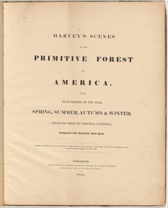 Harvey jelenetei a primitív erdőből alkotó: William James Bennett, after George Harvey