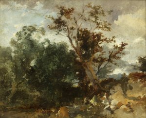 Study of Trees, 1840 körül (olaj, réz) alkotó: William James Muller
