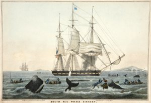 Déli-tengeri bálnahalászat, pub. 1825 (színes litográfia)