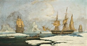Az északi bálnahalászat: a Harmony of Hull hajó és más jégbe kötött bálnavadászok, fókák, narbálok és bálnák vadászata a Davis-szoros bálnavadászterületén Grönland mellett