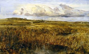 Rhoscolyn, Anglesey (olaj a fedélzeten)