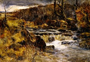 Trout Stream Walesben