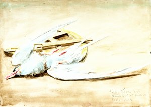Sarki csér és egy fából készült szextáns az Axel-szigeten, Spitzbergák, 20. század (akvarell) alkotó: William Lionel Wyllie