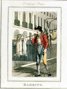 Rabbits, Portland Place, a „Cries of London”, pub. Richard Phillips (1778-1851) 1804 (metszet)