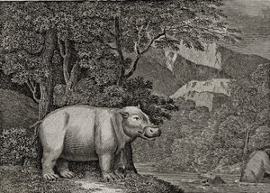 A Jóreménység fokának vízilója, az „Általános világnézet”, 1807