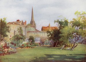 Miltons Mulberry Tree a Fellows Gardenben, Christs College