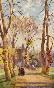 A Trinity College Bridge and Avenue, a Gate a New Courtba vezet alkotó: William Matthison