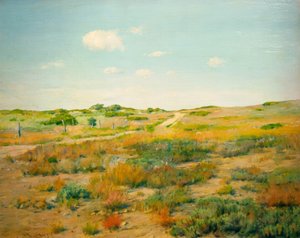 Shinnecock Hills alkotó: William Merritt Chase