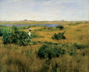 Nyár a Shinnecock Hillsben alkotó: William Merritt Chase