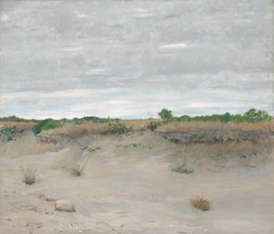 Szélfútta homok, 1894.