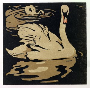 A gyönyörű hattyú, illusztráció a 