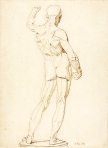 (Egy Ecorche, hátulnézet) alkotó: William Page