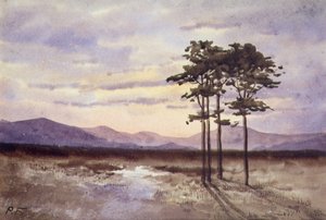Naplemente, Sligo megye (akvarell papíron) alkotó: William Percy French
