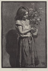 Az egyetlen kincse alkotó: William Rainey
