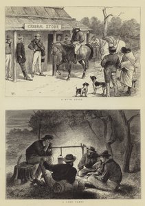 Bozótos élet Queenslandben
