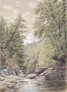 Catskill szegfűszeg Palingsville-ben, 1856.
