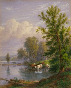 Név nélkül, 1874.