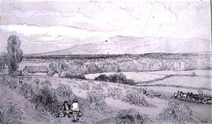 Szüreti jelenet