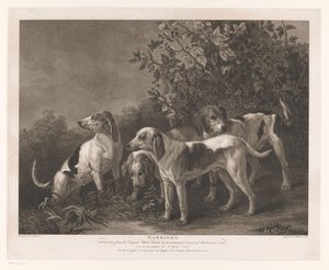 Négy vadászkutya Harriers (cím az objektumon) alkotó: William Satchwell Leney