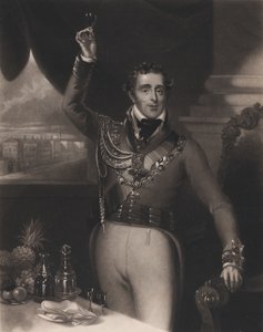 Wellington hercege, 1828.