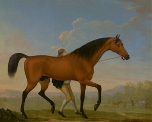 Az Ancaster-öböl hercege mén, üres, egy kanca felé sétál alkotó: William Shaw