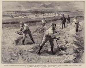 Egy áhított kiváltság, elítélt bandák szénakészítése alkotó: William Small