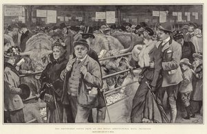 A Smithfield Club bemutatója a Royal Agricultural Hallban, Islington