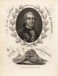 Georges Buffon gróf portréja babérfüzér belsejében alkotó: William Smellie