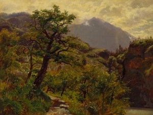 Schwyz Brunnen közelében alkotó: William Stanley Haseltine