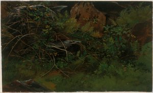 Természet utáni tanulmány alkotó: William Stanley Haseltine