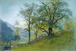 Vahrn Tirolban, Brixen közelében. alkotó: William Stanley Haseltine