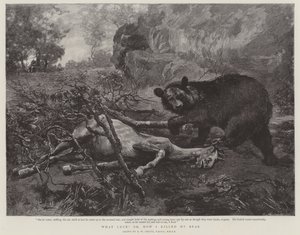 Milyen szerencse! vagy: Hogyan öltem meg Medvét alkotó: William Strutt