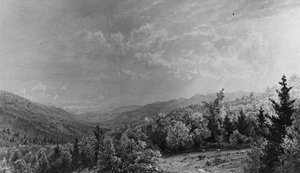 A Flume House-ból, Franconia, New Hampshire, 1872. alkotó: William Trost Richards