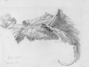  alkotó: William Trost Richards
