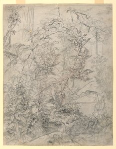 A lombozat tanulmányozása alkotó: William Trost Richards