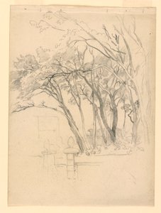 A lombozat tanulmányozása alkotó: William Trost Richards