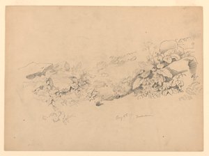 Lombozat tanulmányozása, Trachselwald, Bern, Svájc alkotó: William Trost Richards
