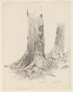 Fatörzsek, Darmstadt alkotó: William Trost Richards