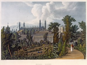 The Botanical Gardens, Cambridge, a "The History of Cambridge"-ből, Joseph Constantine Stadler (fl.1780-1812) metszete, pub. R. Ackermann, 1815 (színes akvatinta)