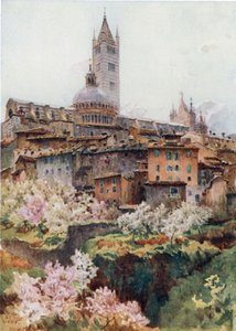 Siena. A katedrális (színes litó) alkotó: William Wiehe Collins